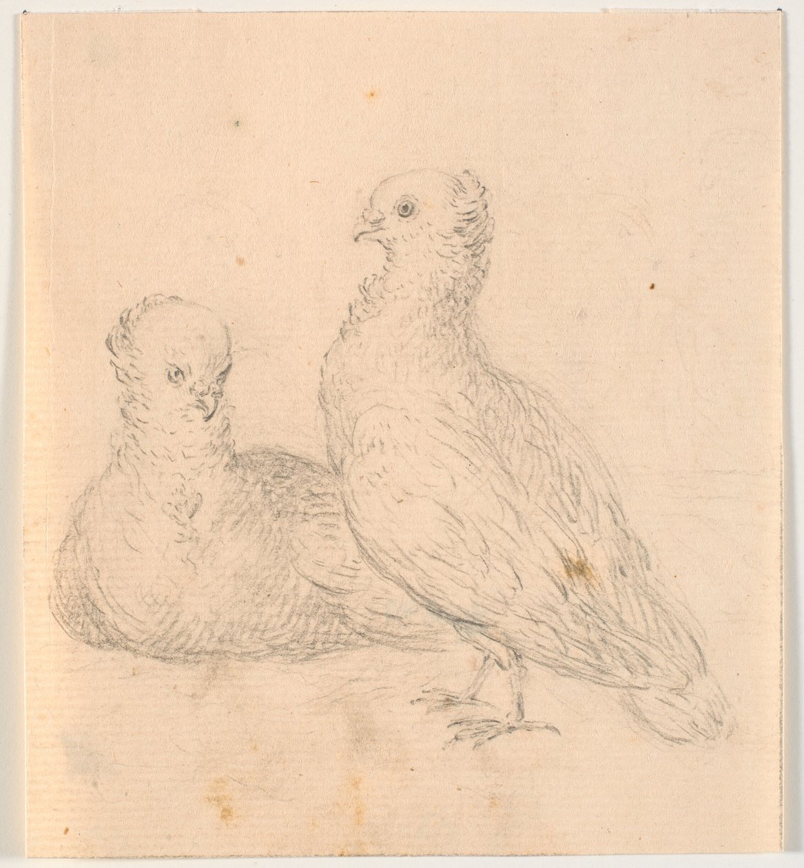 Twee duiven door C.A. Lorentzen