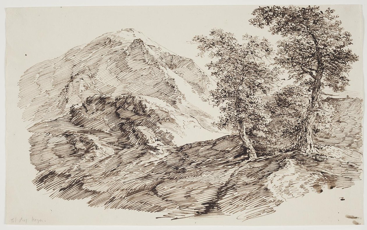 Berglandschap met bomen door C.F. von Rumohr