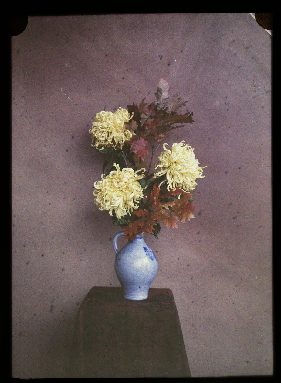 Bloemen (asters) op een vaas door C.W. Immink