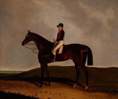 Een bruine renpaard door C. Markham