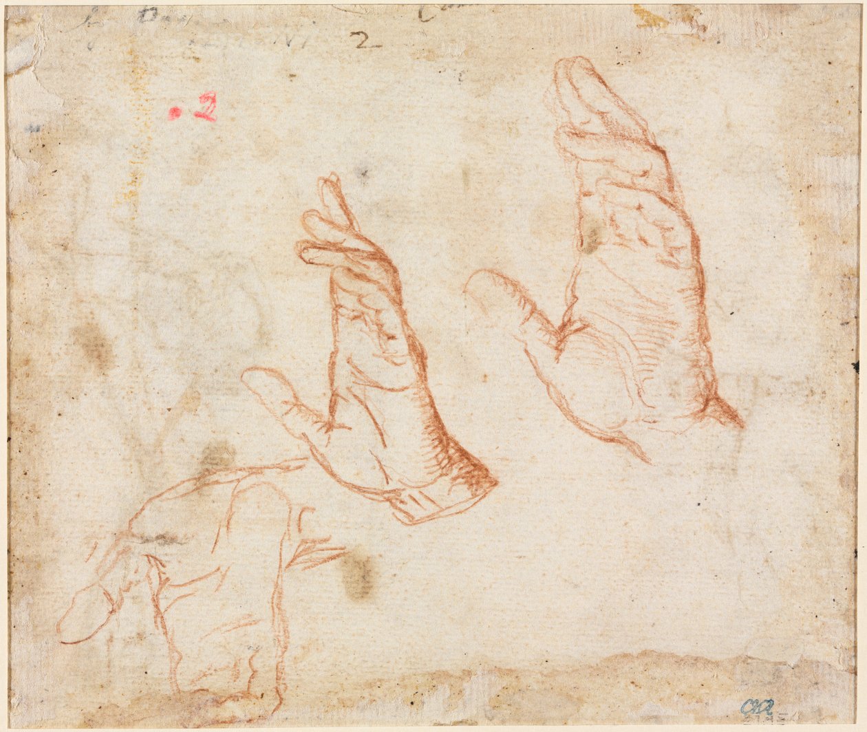 Studie van Handen verso, c. 1590 door Camillo Procaccini