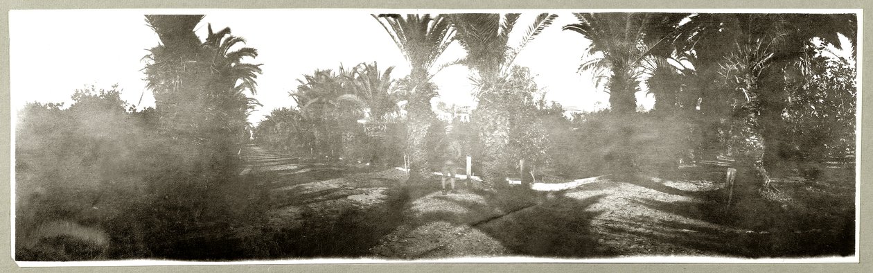 Palmboomgaard, c.1917-18 door Capt. Arthur Rhodes