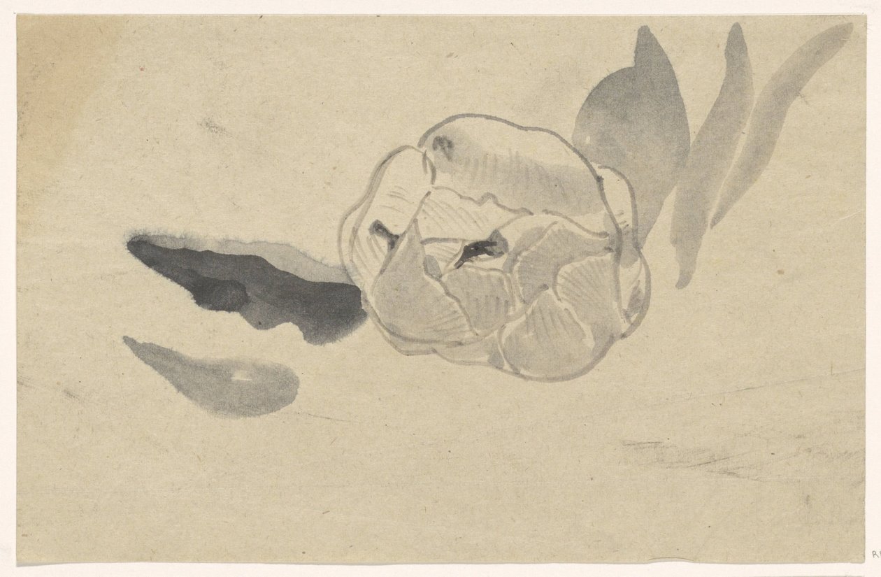 Bloemstudie door Carel Adolph Lion Cachet