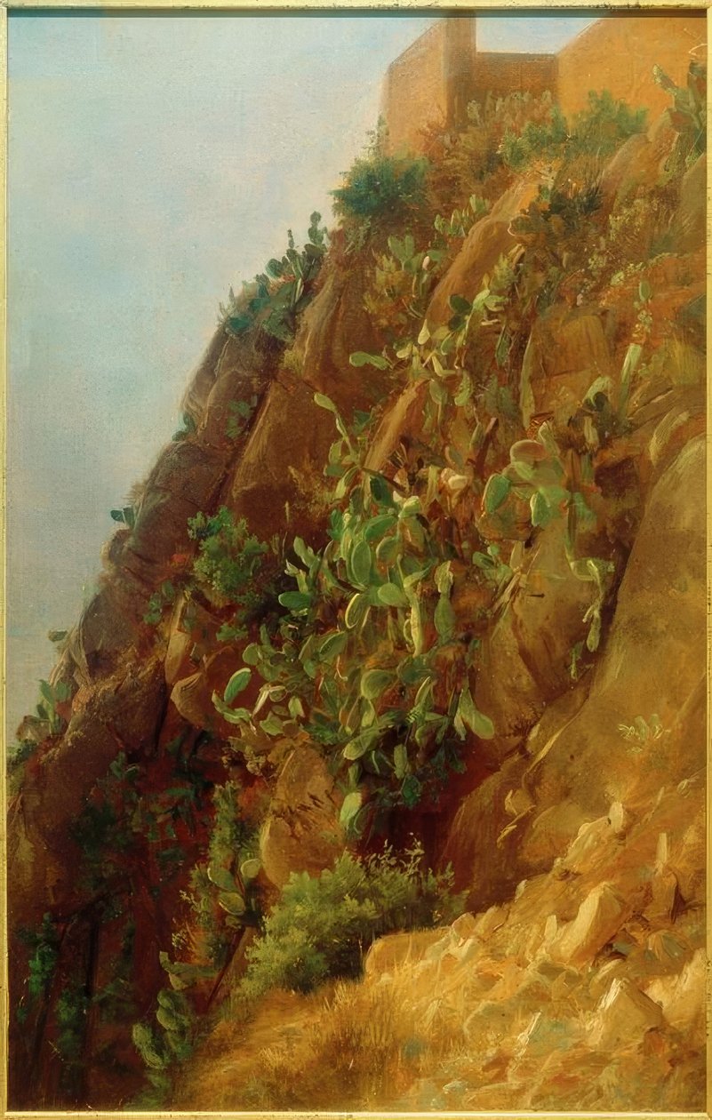 C. Morgenstern, Opuntia