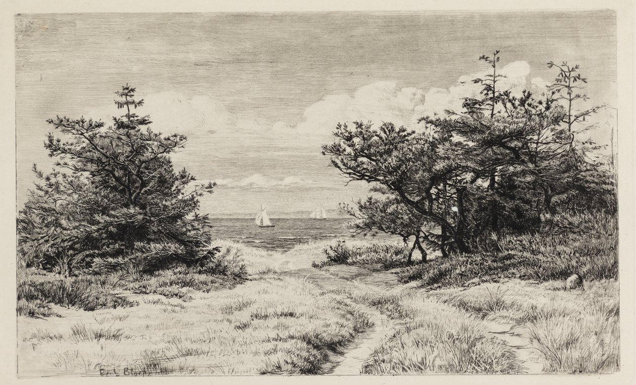 Uitzicht op de zee door Carl Bloch