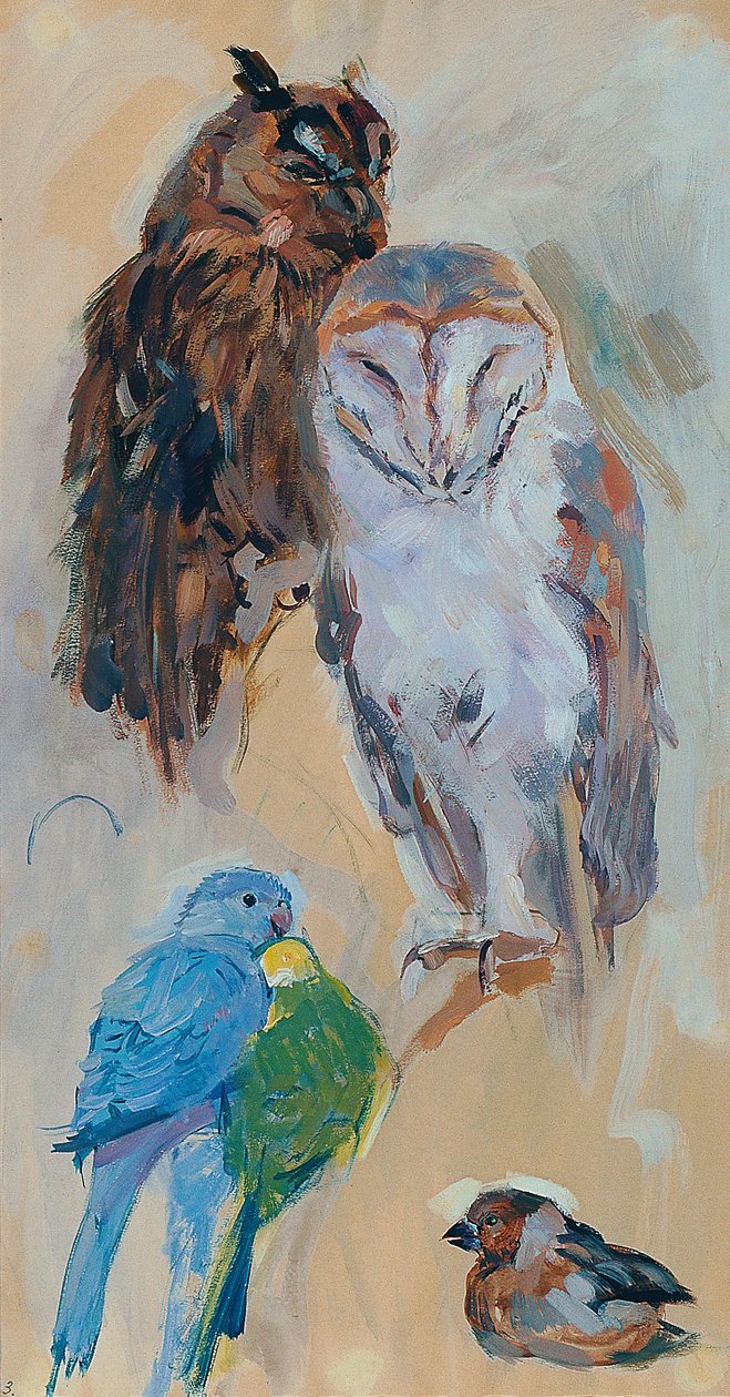 Dierstudie uit Schönbrunn door Carl Fahringer