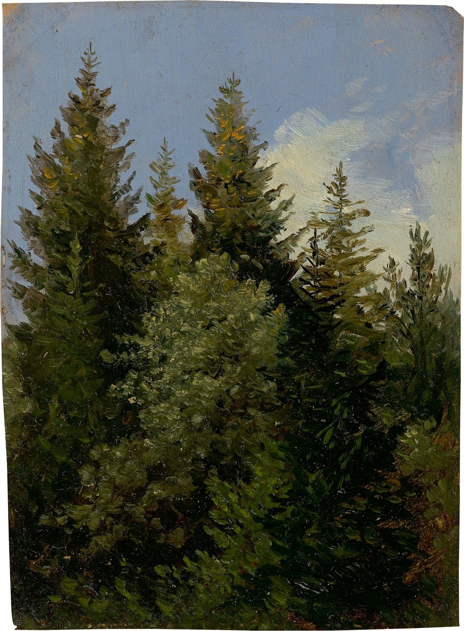 Firs door Carl Gustav Carus