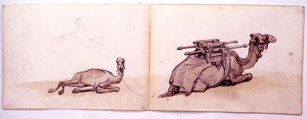 Twee schetsen van dromedarissen door Carl Haag