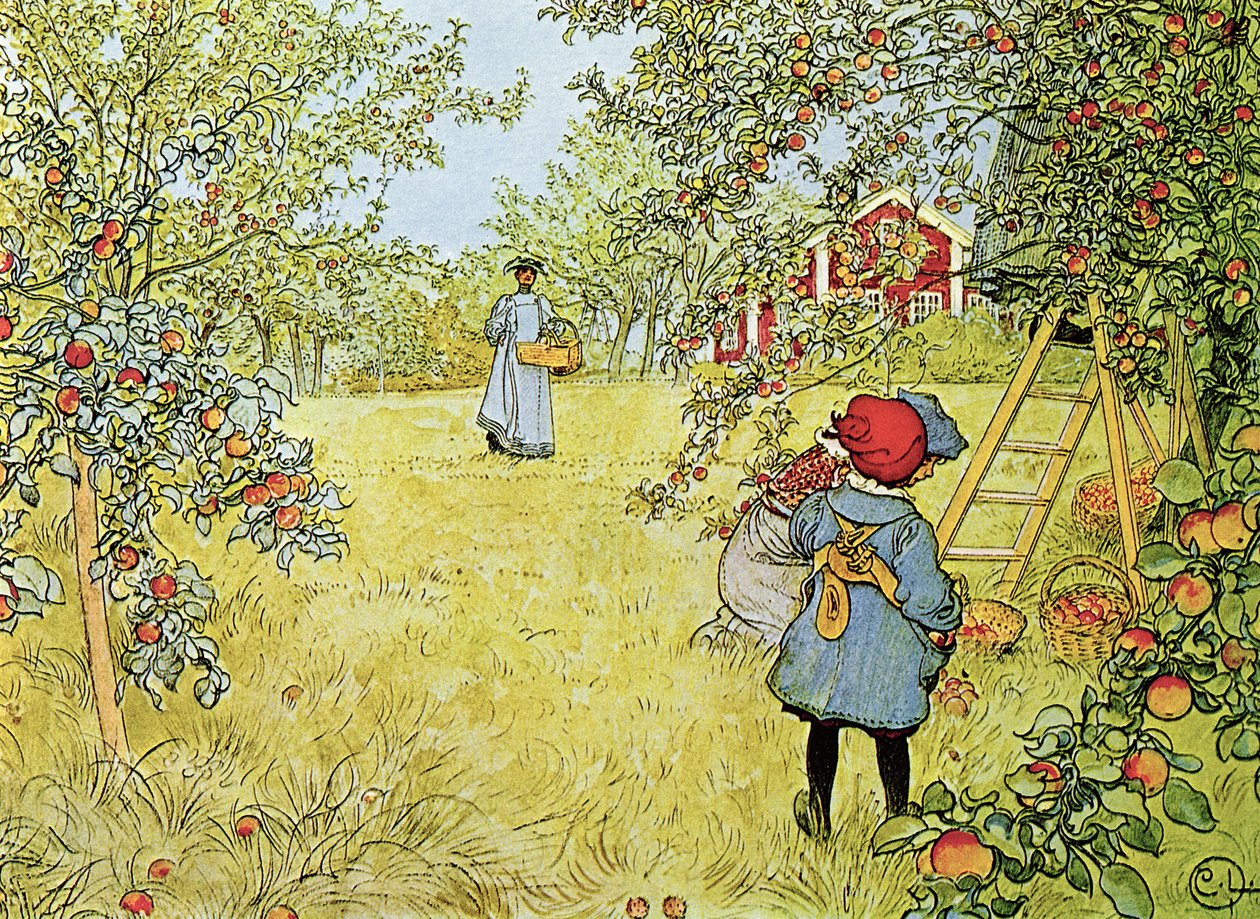 De Appeloogst door Carl Larsson