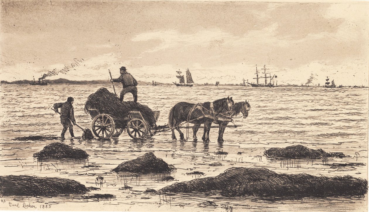 Boeren rijden zeewier door Carl Locher