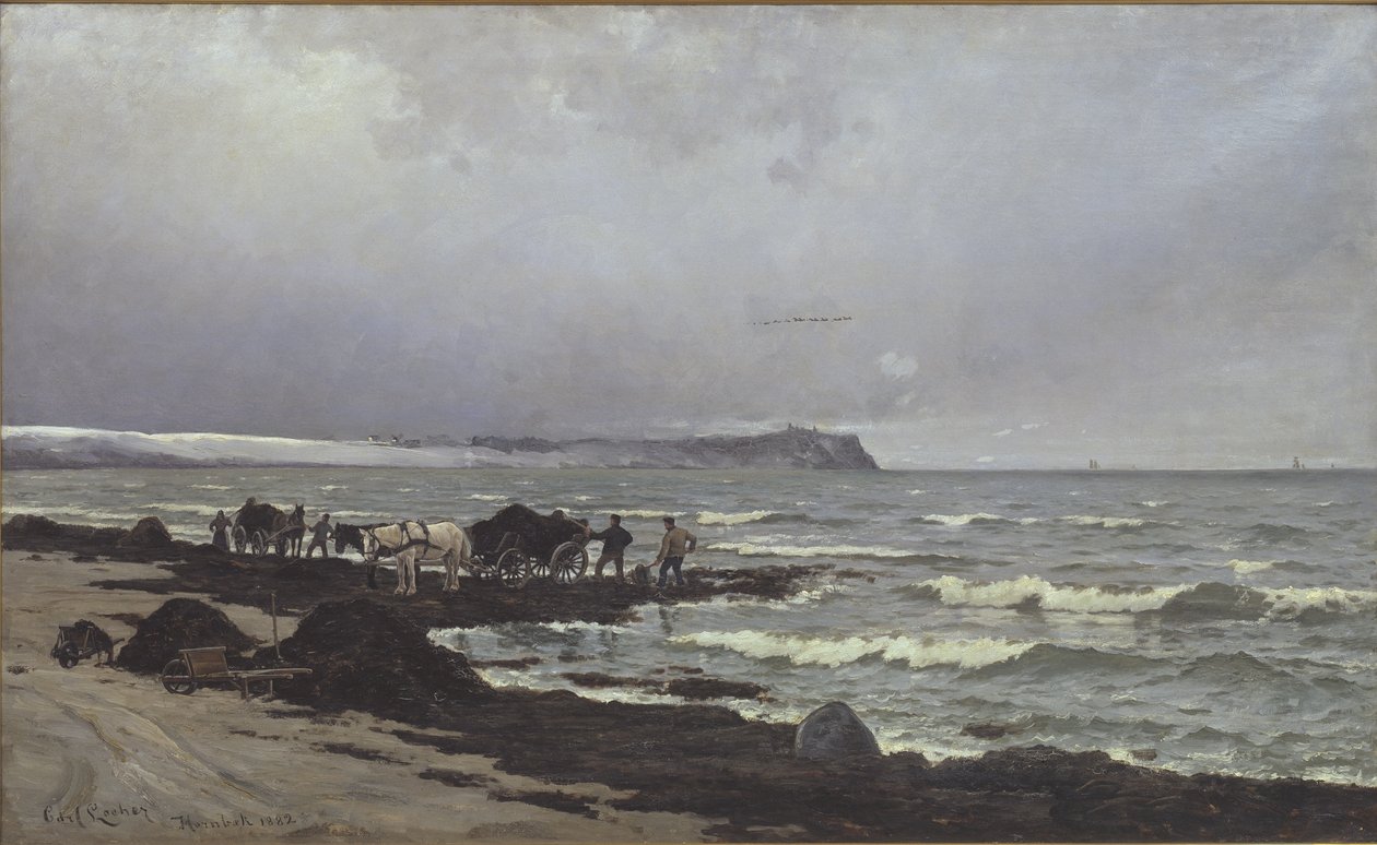Tang wordt geladen op Hornbæk Strand door Carl Locher