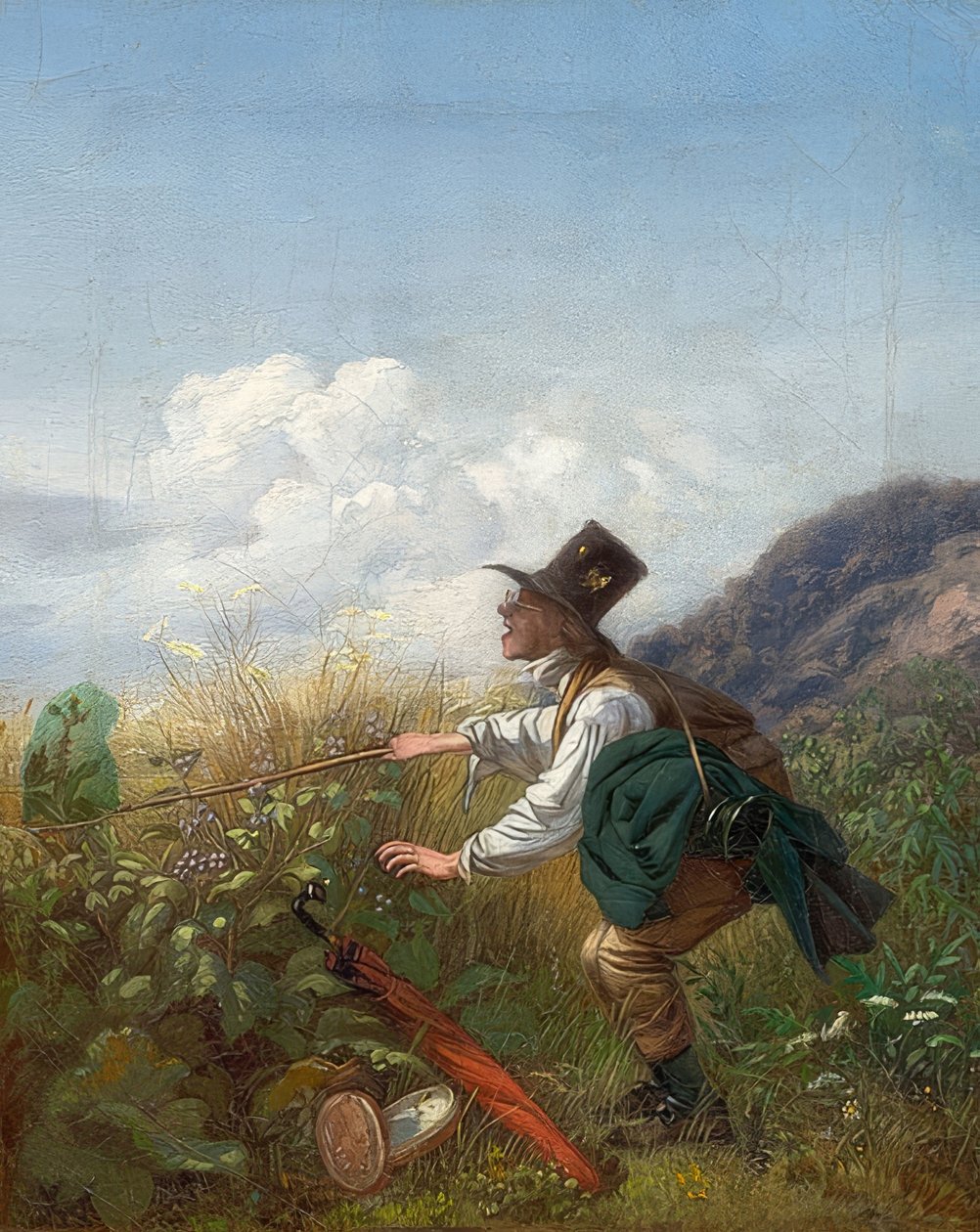 De vlindervanger (Botanicus) door Carl Spitzweg