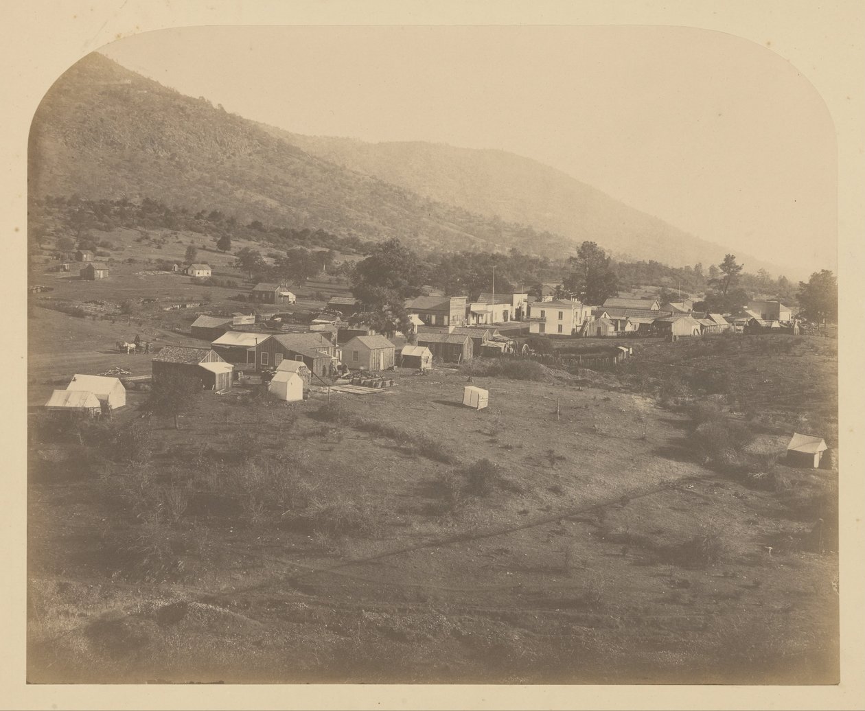 (Bear Valley) door Carleton E. Watkins