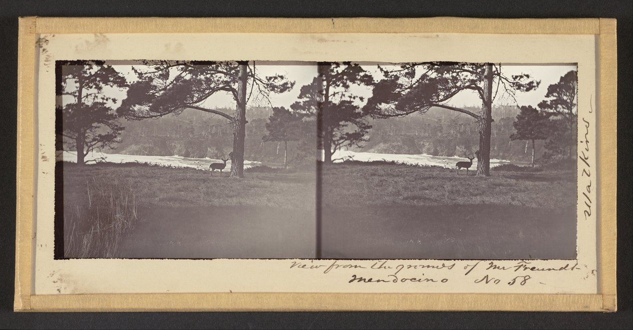 Uitzicht vanaf de Gronden van de Heer Freundt, Mendocino door Carleton E. Watkins