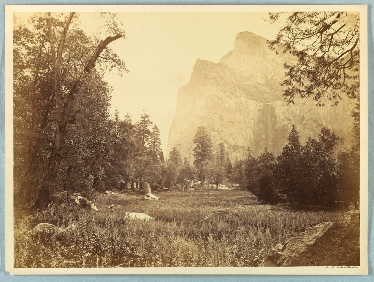 Pohono, Bruidssluier, Yosemite door Carleton E. Watkins
