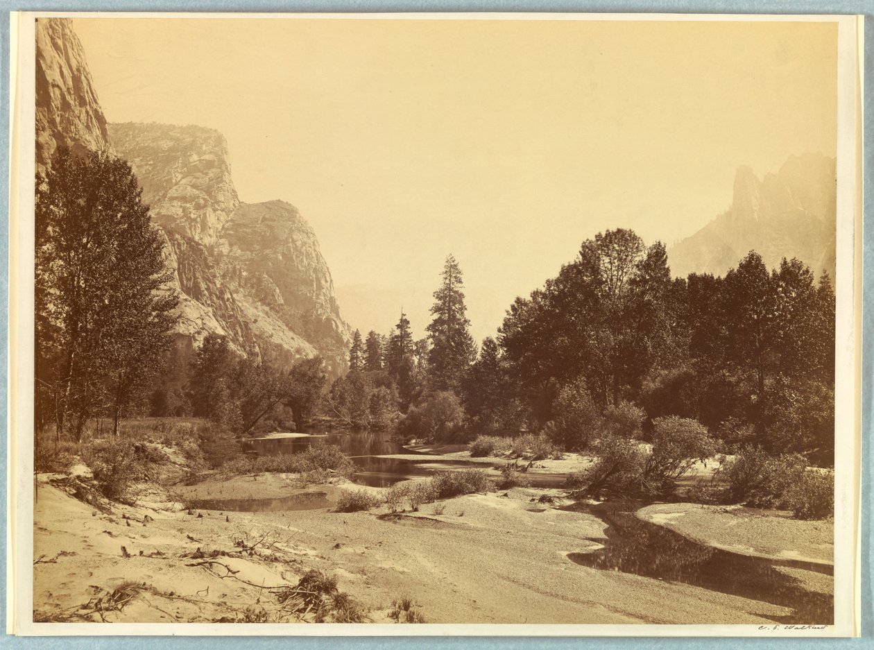 In de vallei, Yosemite door Carleton E. Watkins