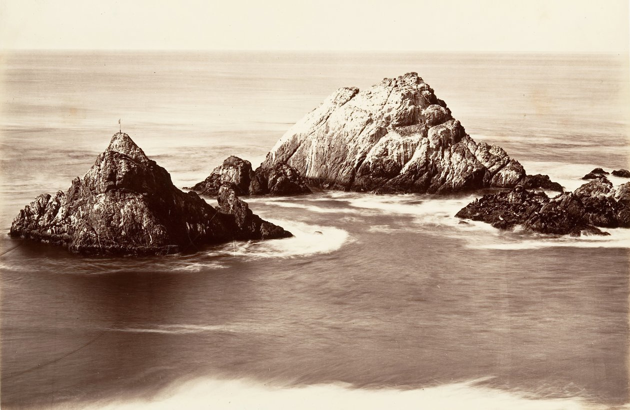 Seal Rocks door Carleton Emmons Watkins