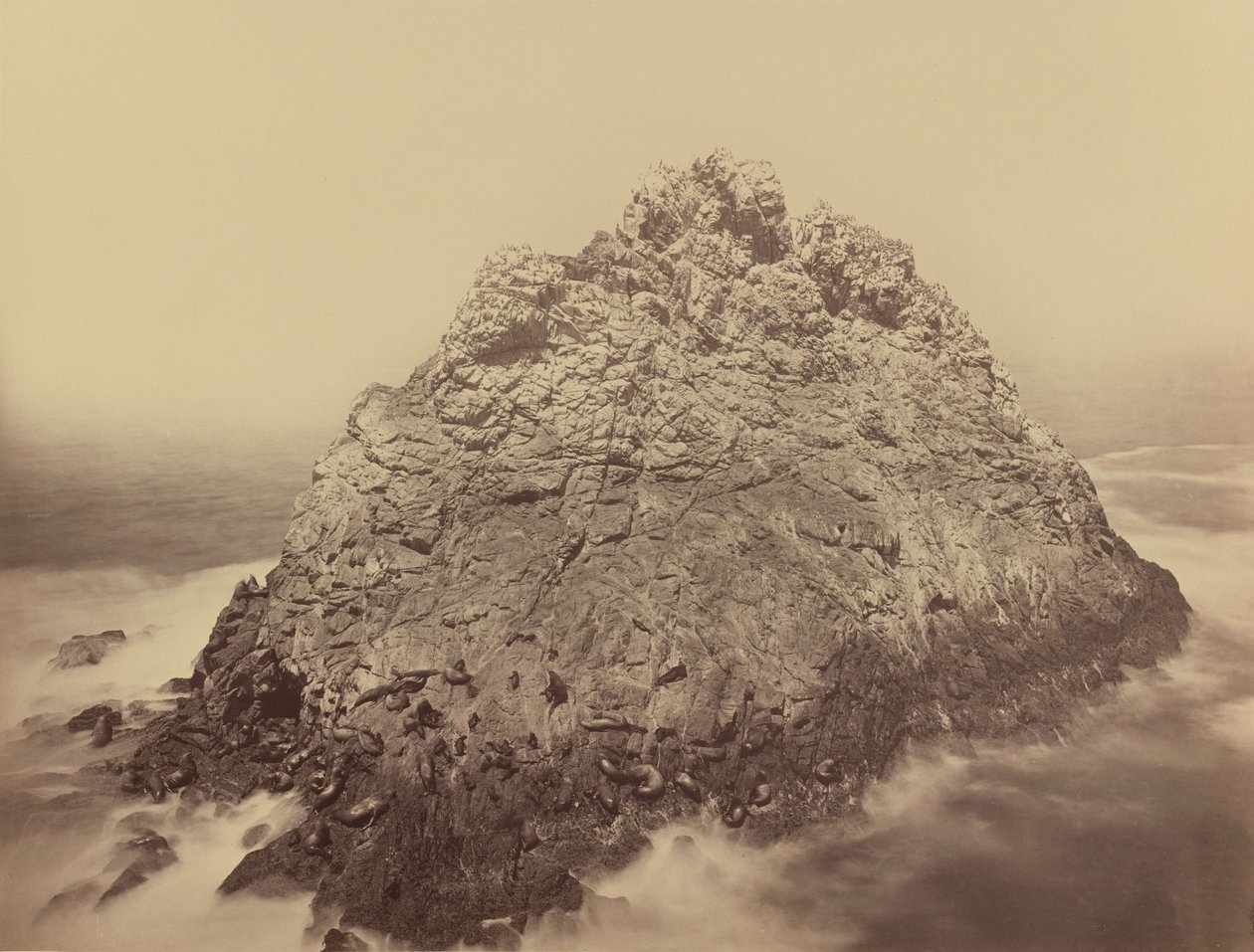 Suikerbroodeiland, Farallons,1868/1869 (foto) door Carleton Emmons Watkins