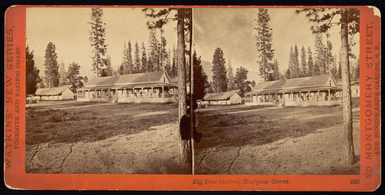 Big Tree Station, Mariposa Grove door Carleton Watkins