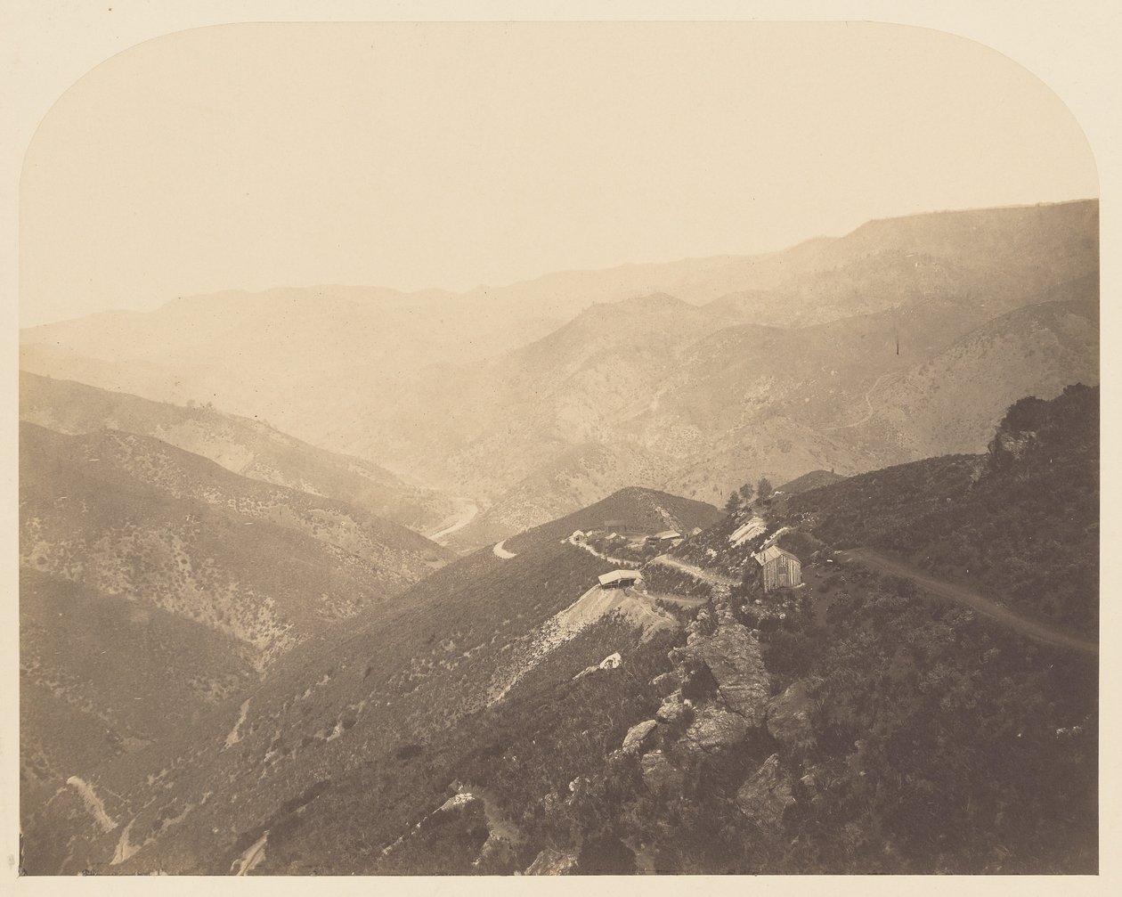 [Pine Tree Mine]. door Carleton Watkins