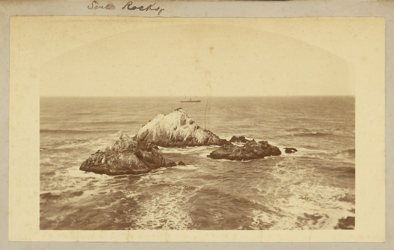 Zeehondenrotsen. door Carleton Watkins