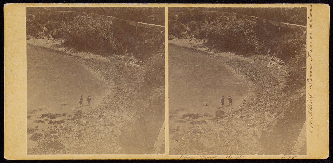 De baai, S.F. door Carleton Watkins
