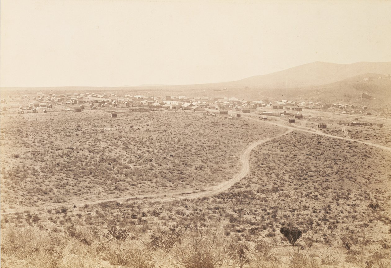 [Tombstone, Arizona] door Carleton Watkins