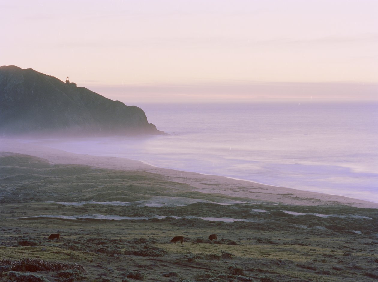 Big Sur, 2014 door Carli Choi