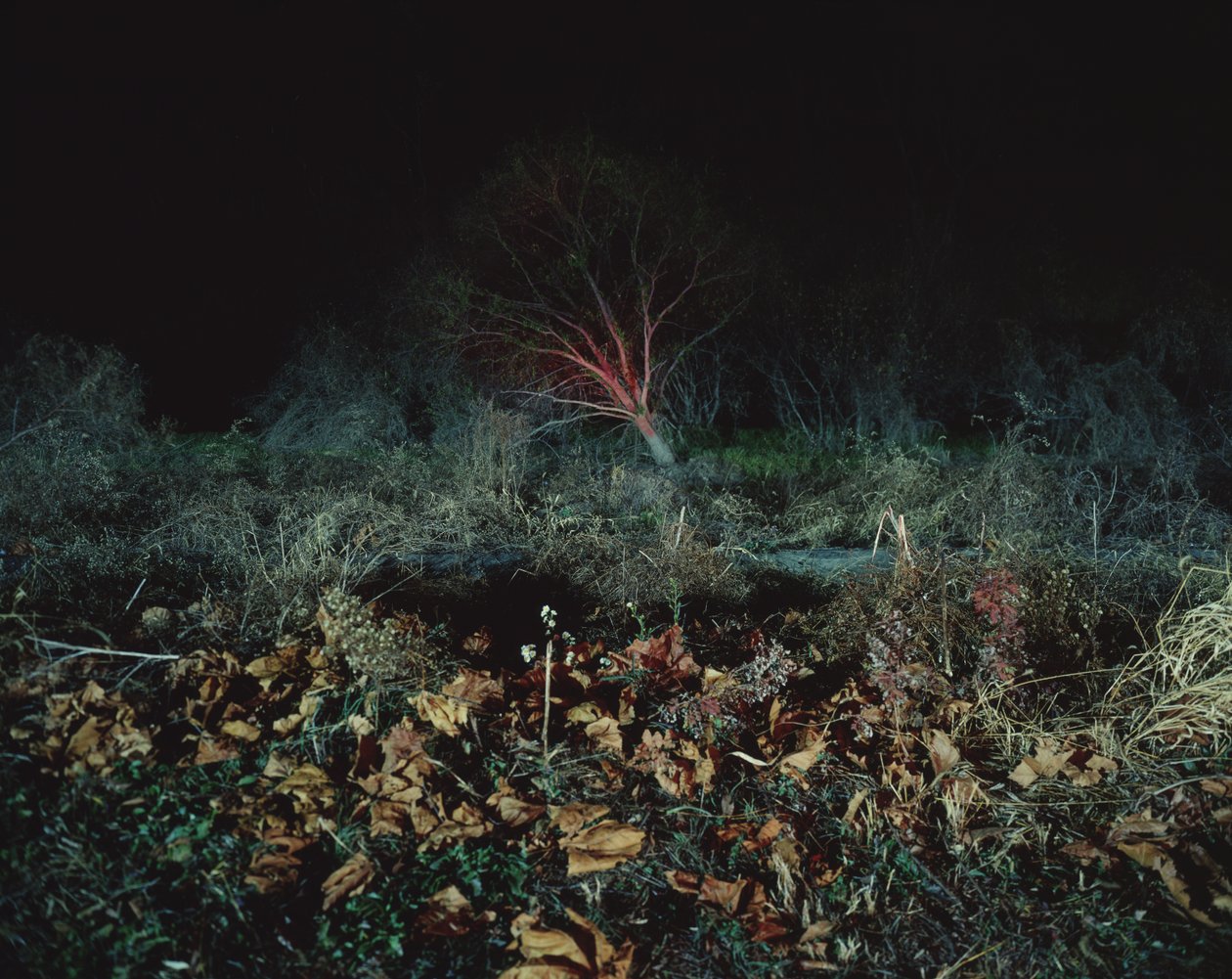 Schilderen in het donker, 2011 door Carli Choi