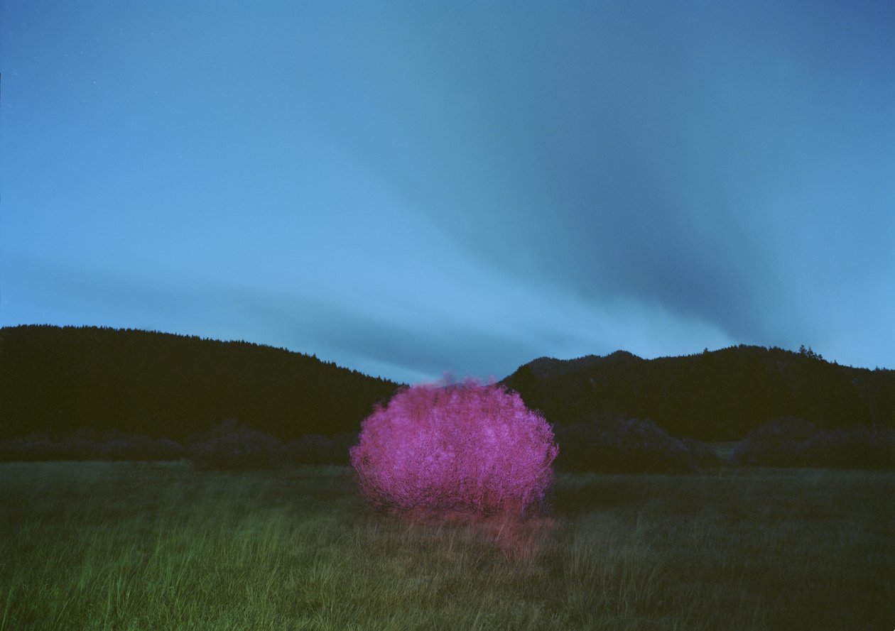 Schilderen in het donker, 2015 door Carli Choi
