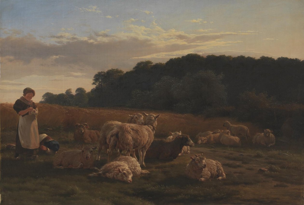 Een kudde schapen. Motief uit Faxingeskoven bij Nysø door Carlo Dalgas