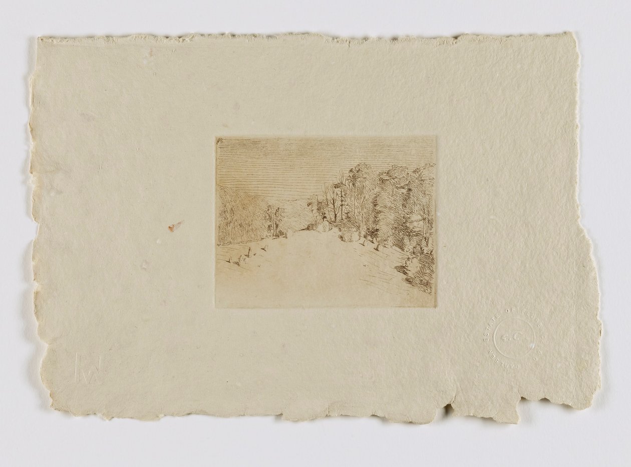 Connecticut-landschap (fm. portfolio) door Carlsen, Emil