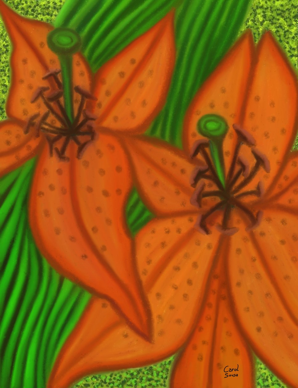 Twee lelies door Carol Sousa Cuello