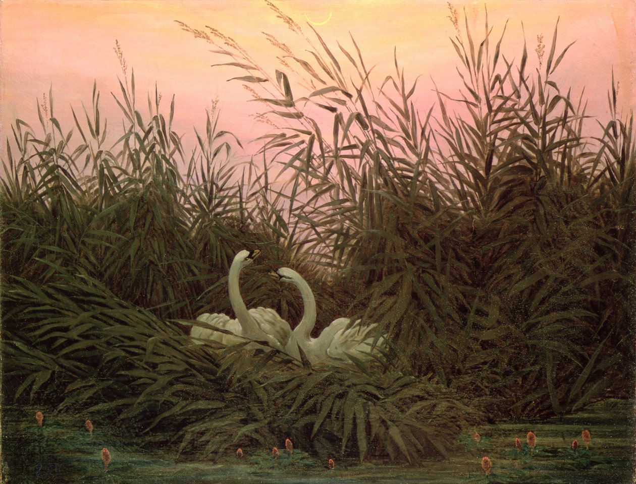 Zwanen in het Riet, ca. 1820 door Caspar David Friedrich