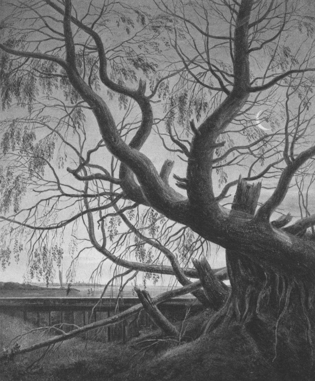 Weide bij maanlicht door Caspar David Friedrich