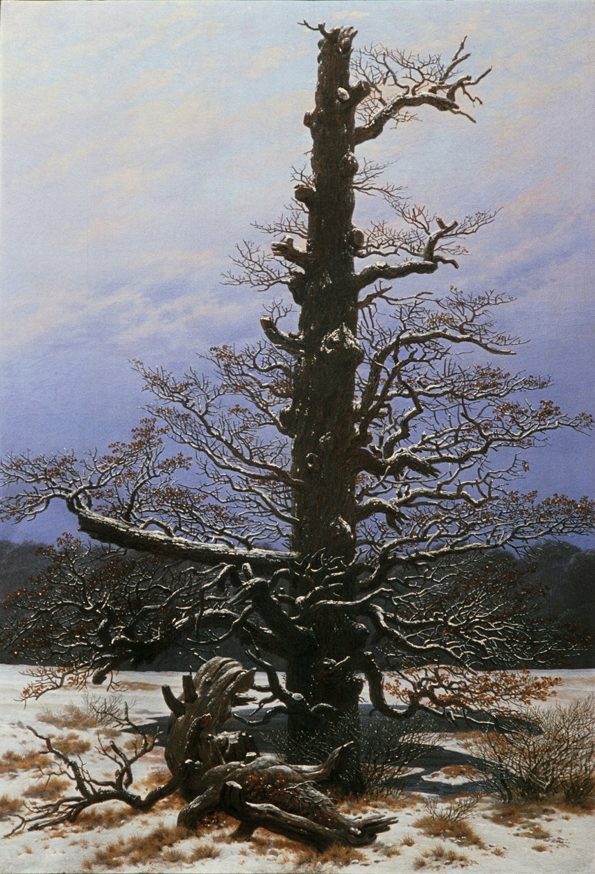 Eik in de sneeuw door Caspar David Friedrich