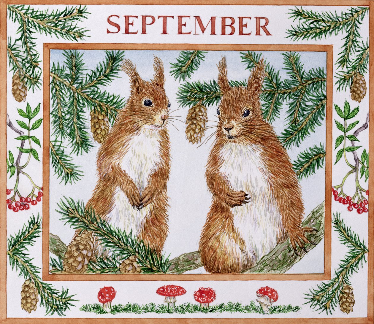 September door Catherine Bradbury