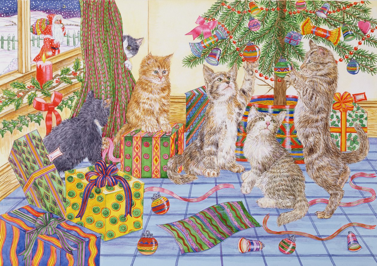 De Kerst van de Katten door Catherine Bradbury