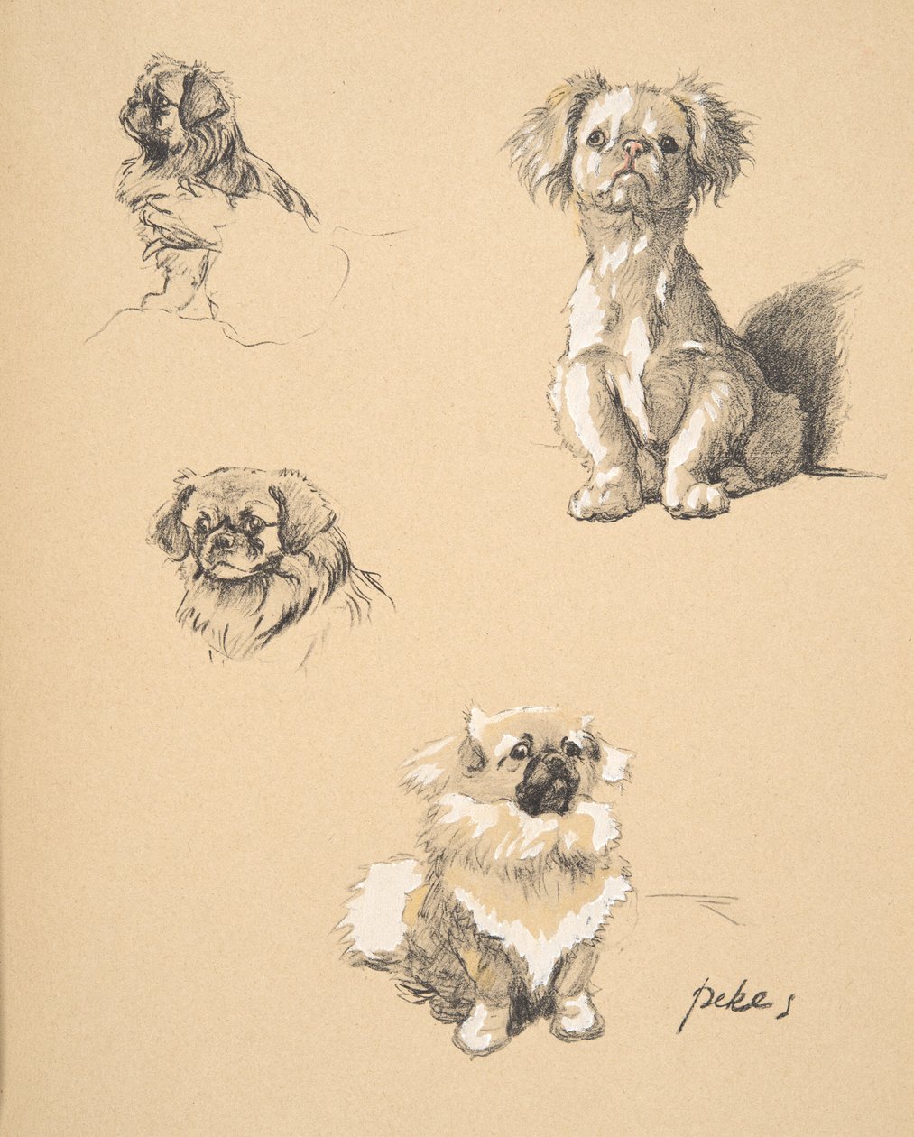 Pekes, 1930, Illustraties uit zijn Schetsboek gebruikt voor 