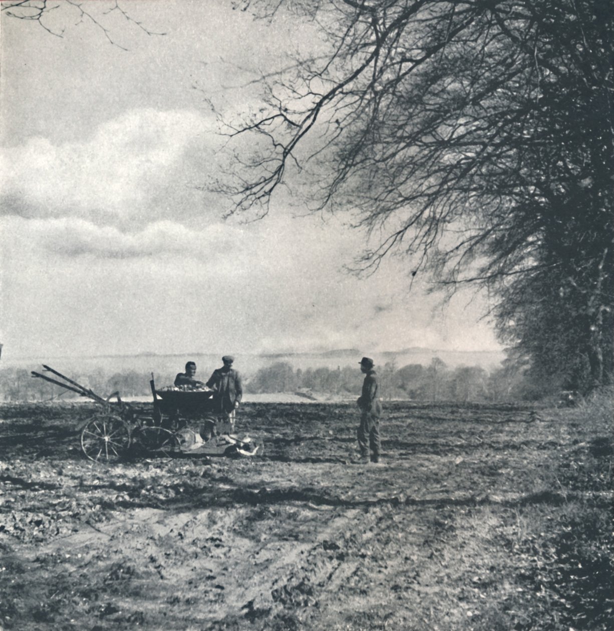 Ver weg naar veld en voor, 1941 door Cecil Beaton