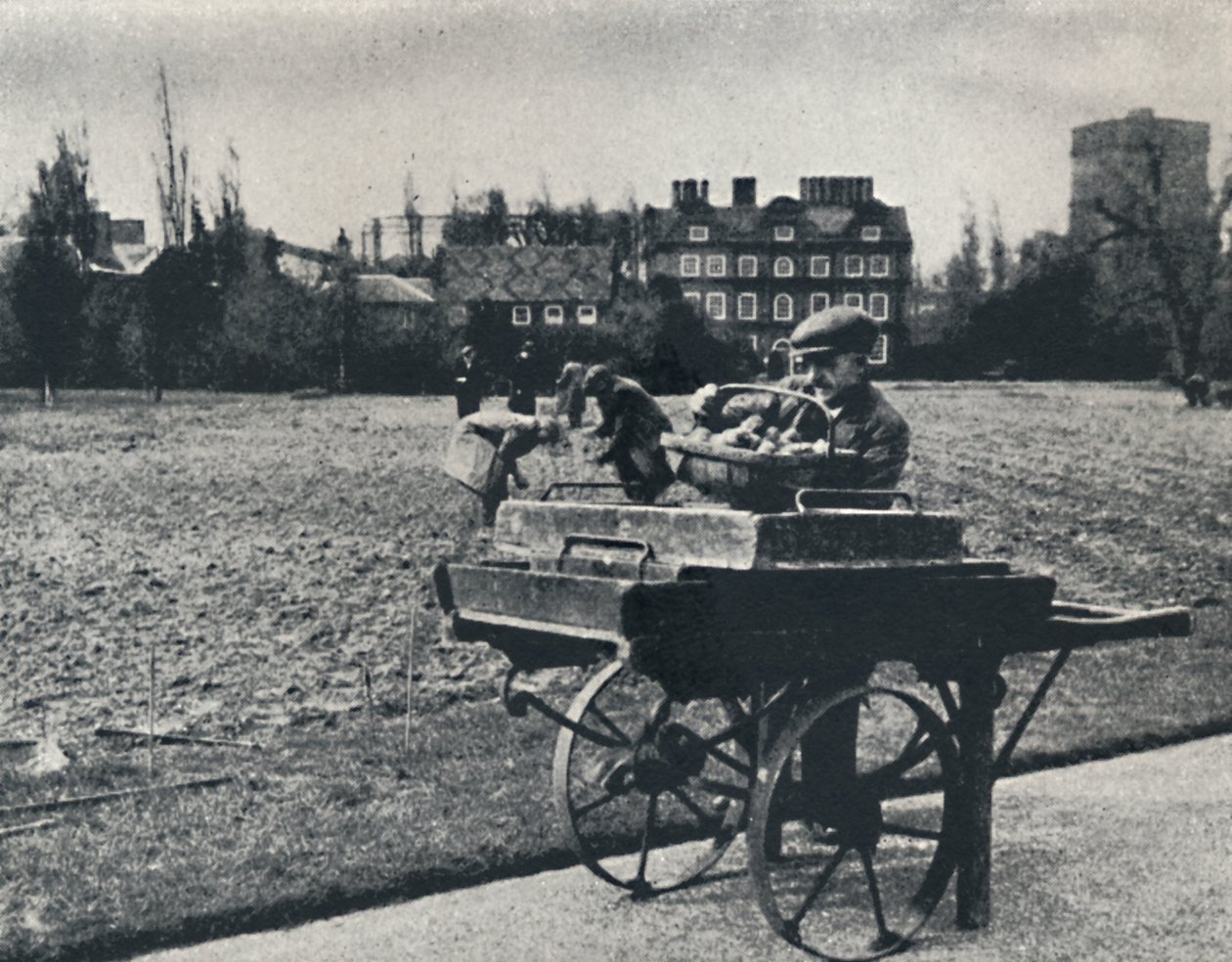 Aardappelen in Kew Gardens door Cecil Beaton