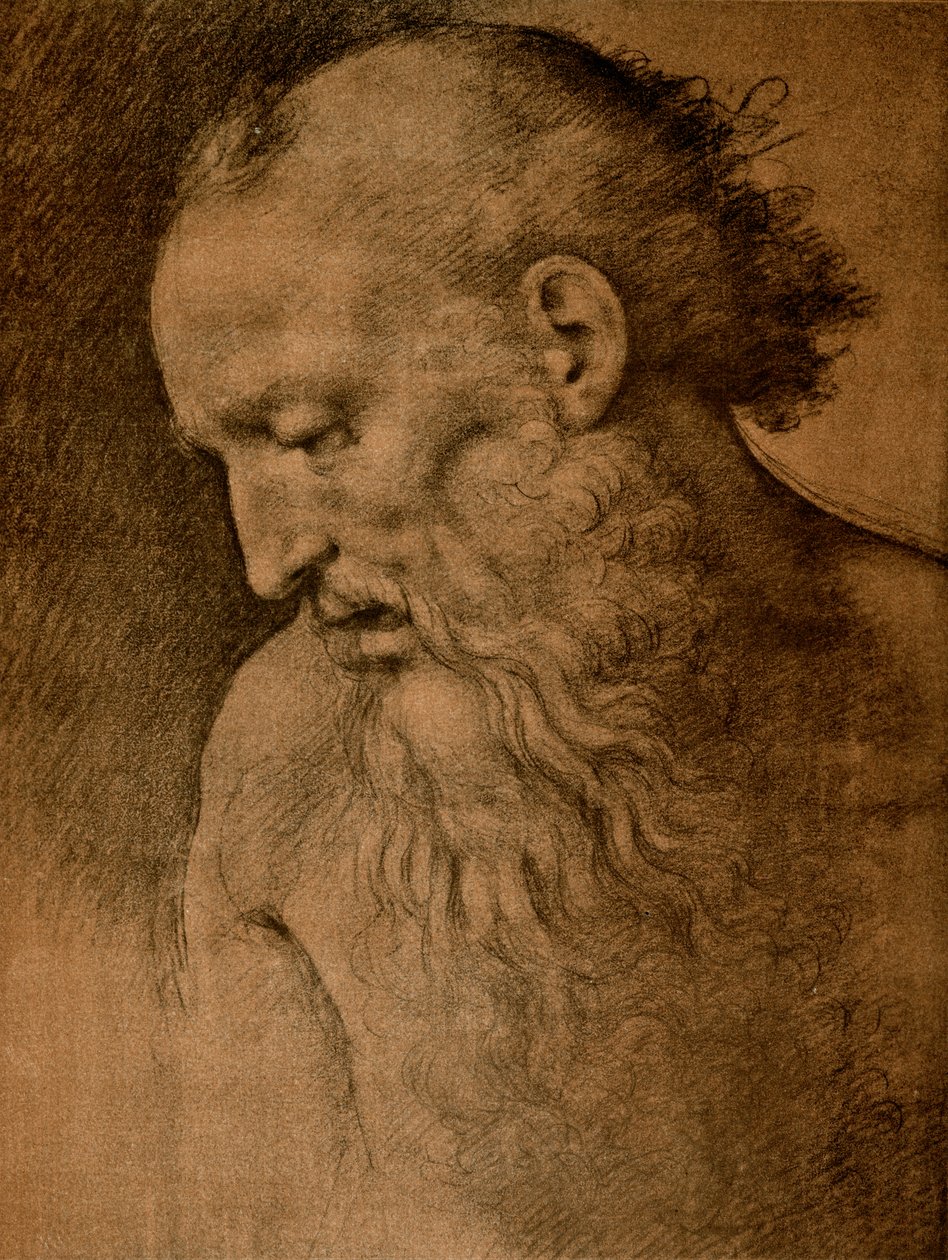 Hoofd van St. Hiëronymus door Cesare da Sesto