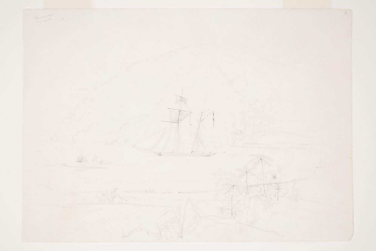 Flatfish Cove Q.C. Sound door Charles Heaphy