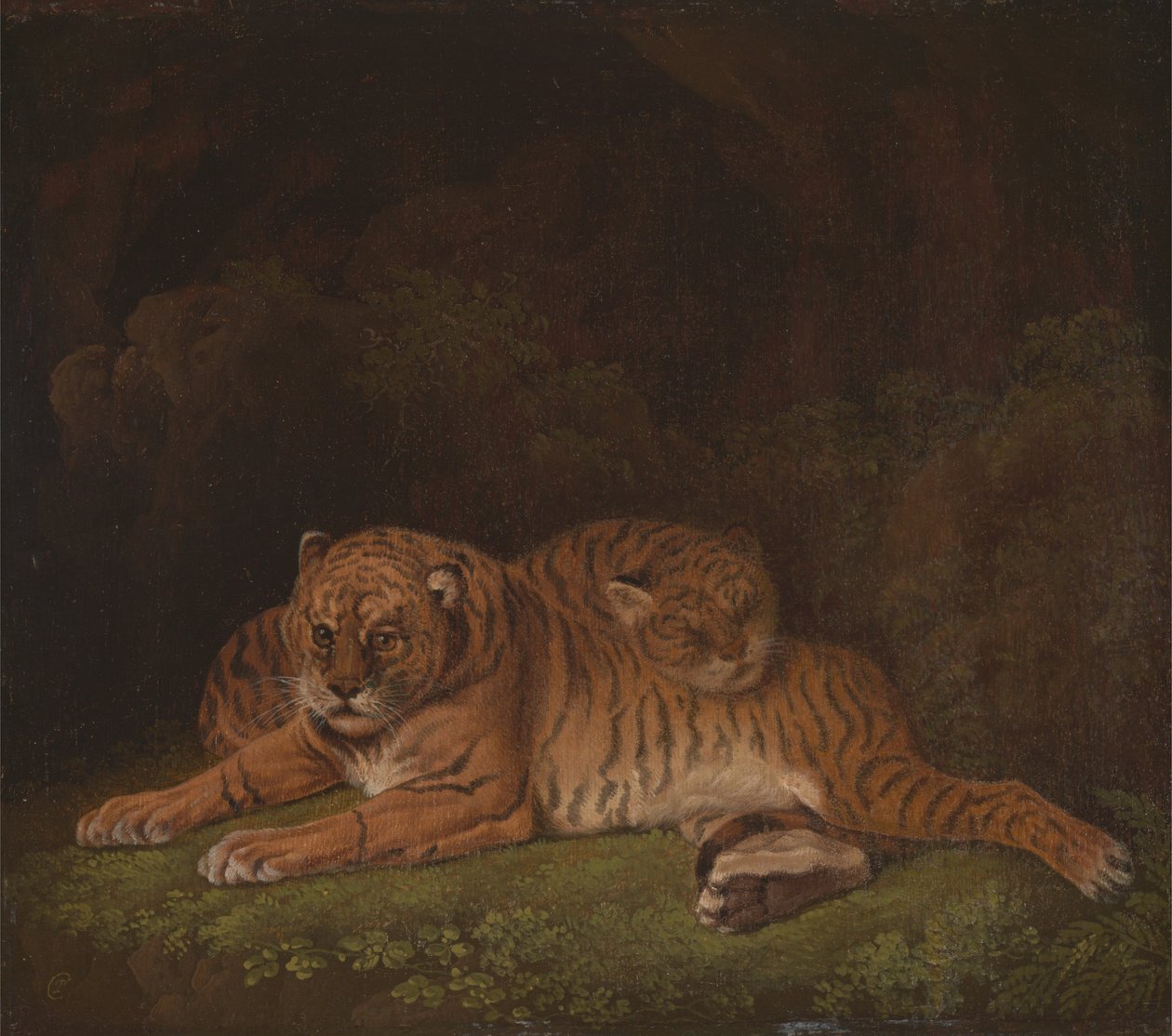 Tijgers door Charles Towne