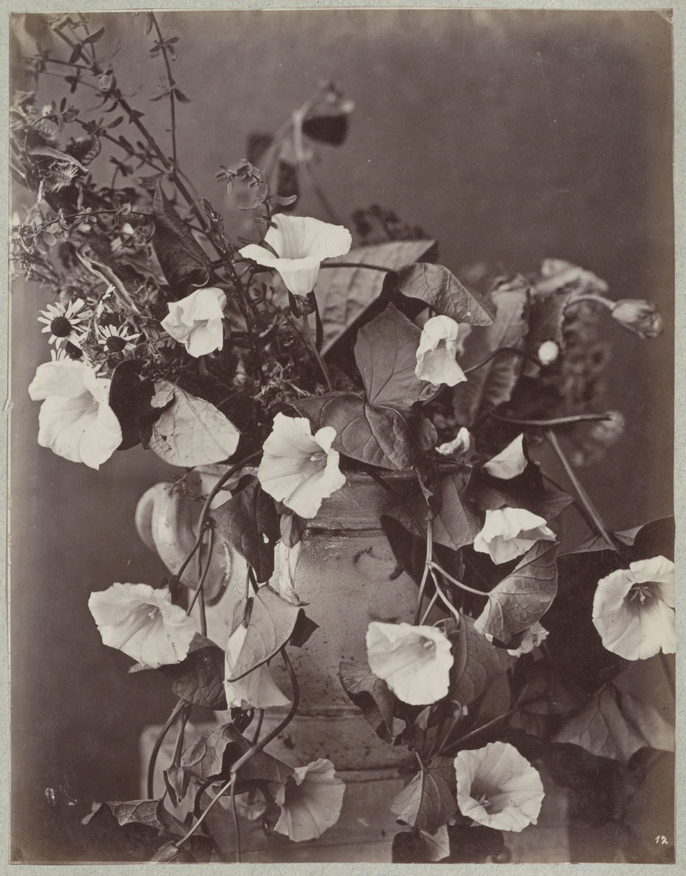 Bloemstudie met Keulse pot door Charles Aubry (manner of)