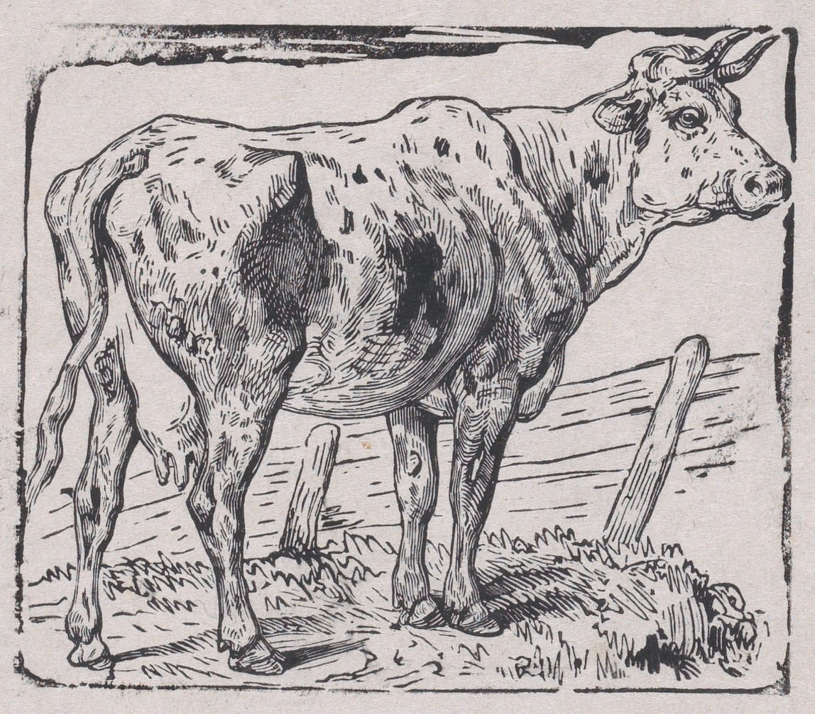 Een Koe door Charles Emile Jacque