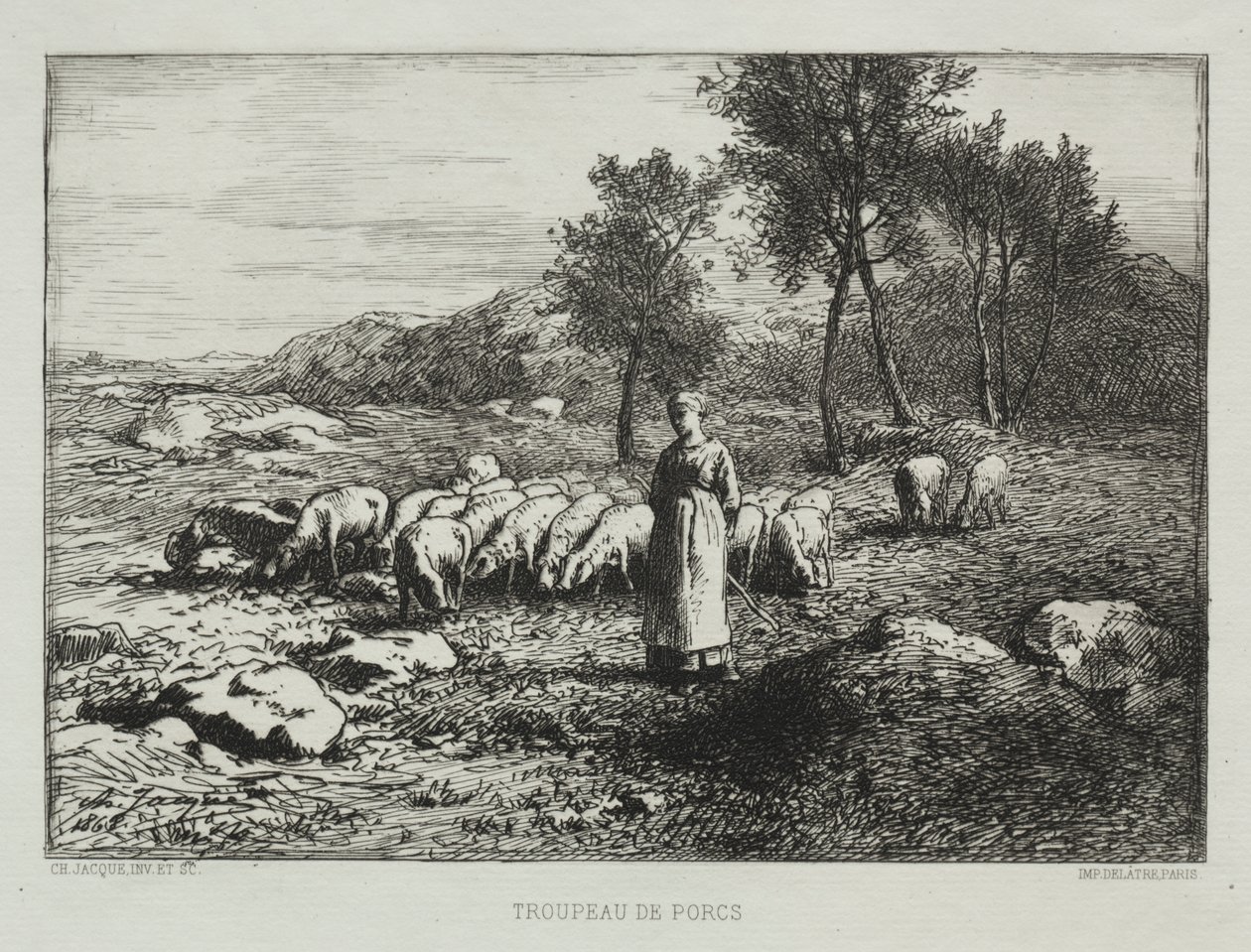 Kudde Varkens door Charles Emile Jacque