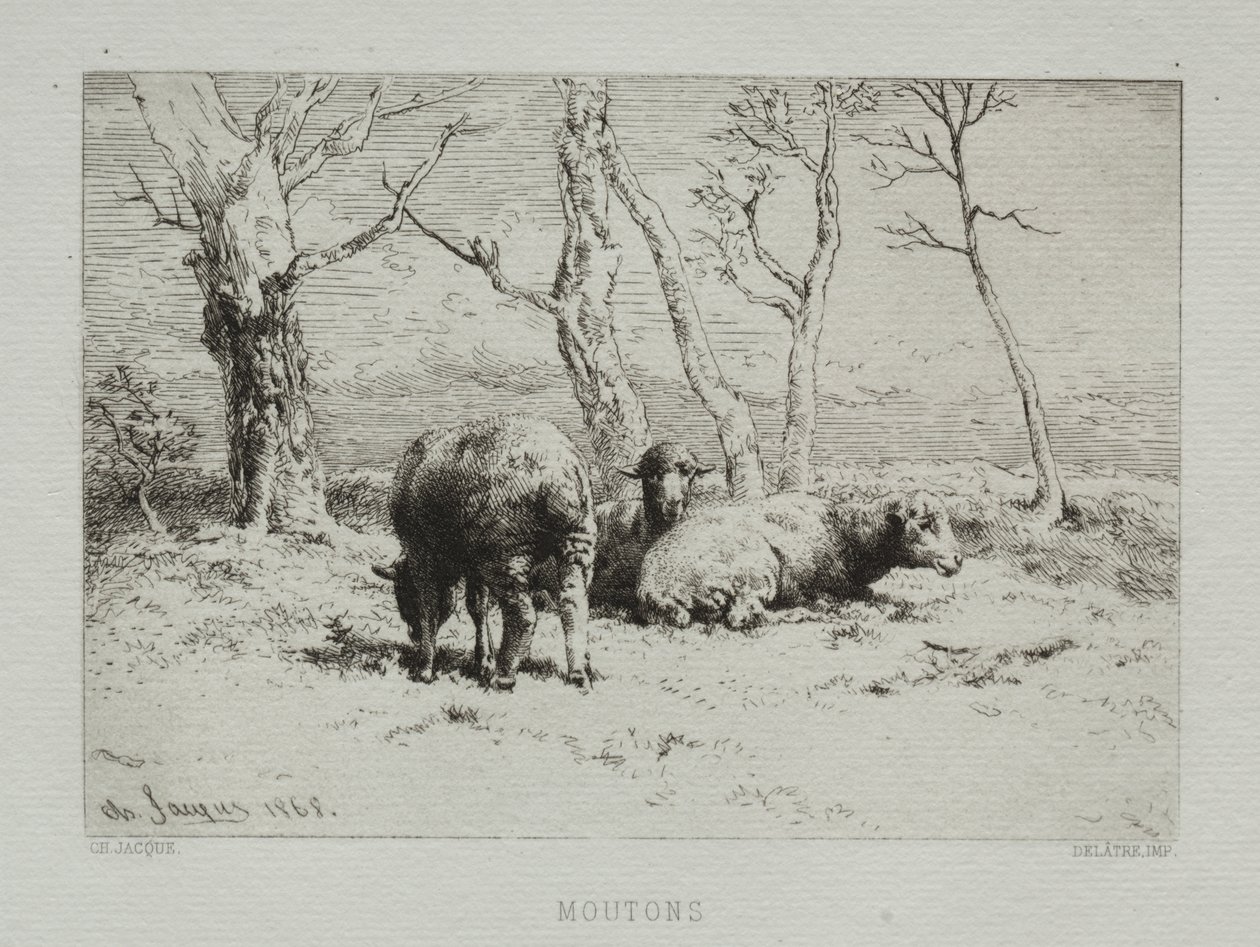 Schapen door Charles Emile Jacque
