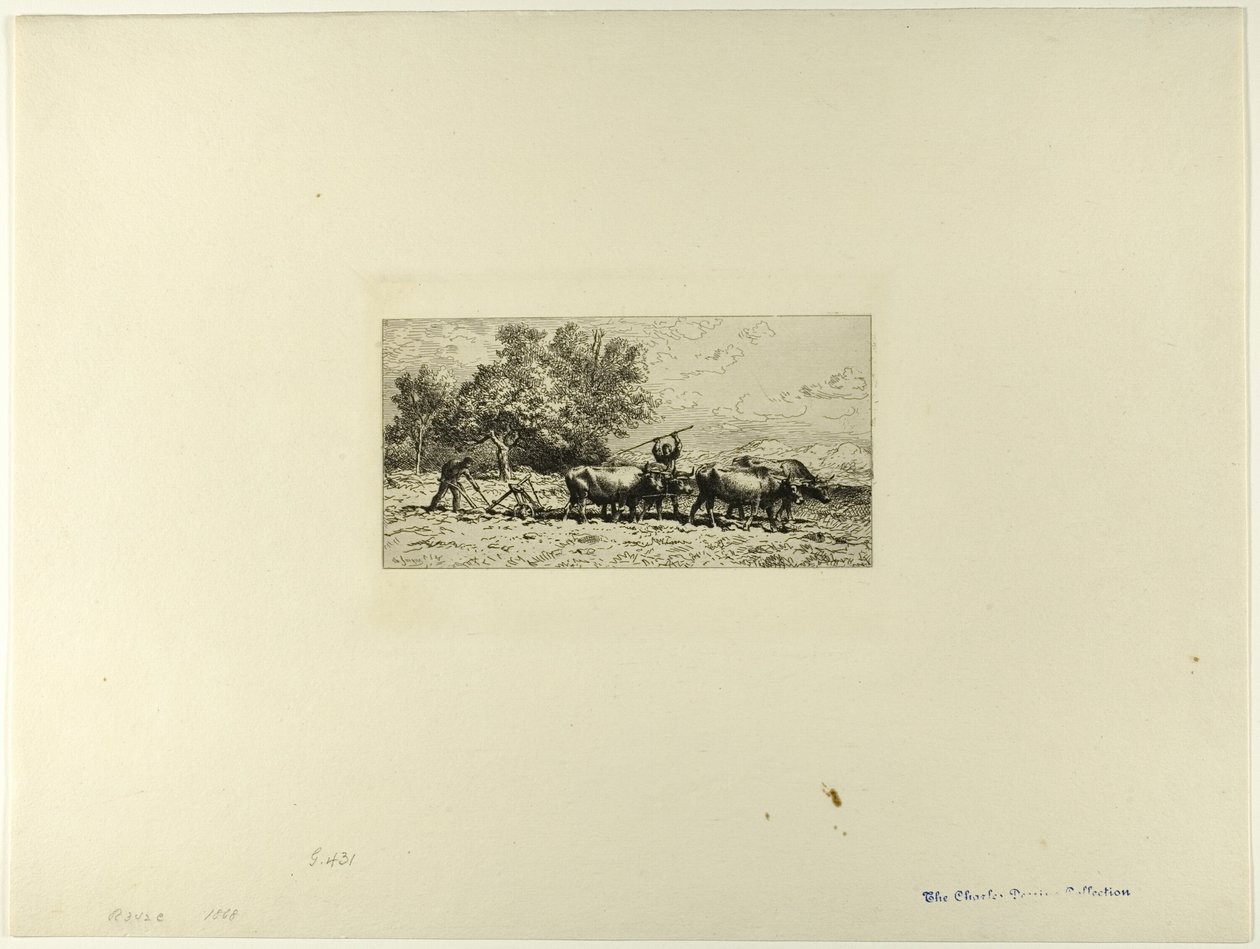 Span ossen door Charles Emile Jacque