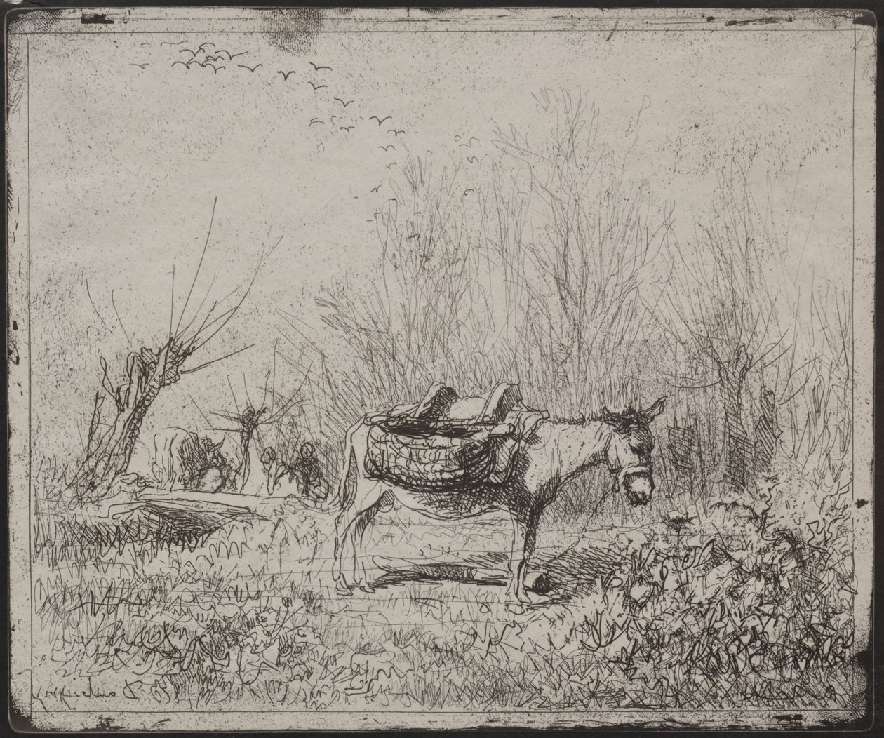 Een Ezel in het Veld door Charles Francois Daubigny